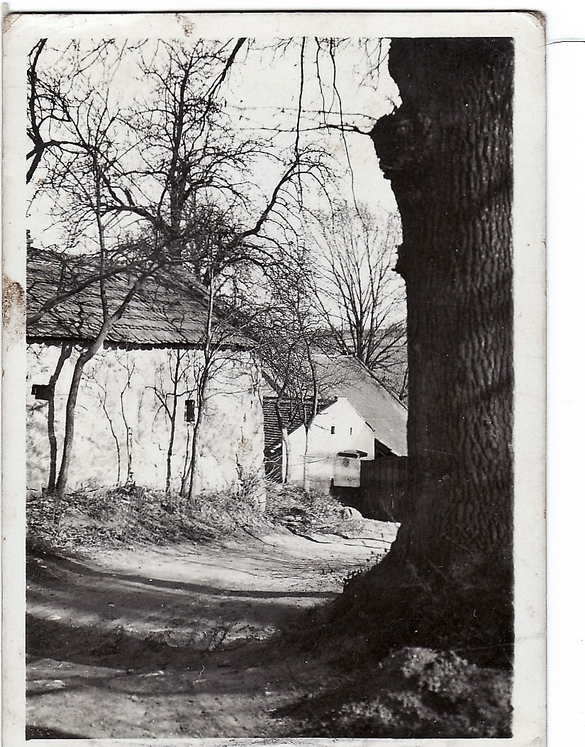 1950 Netrefův mlýn